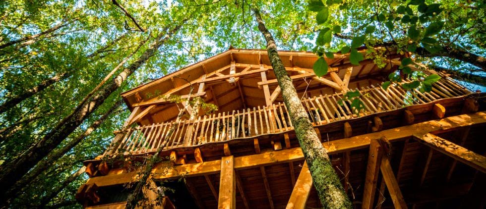 D'Emilion de Sens - Cabanes perchees avec Spa