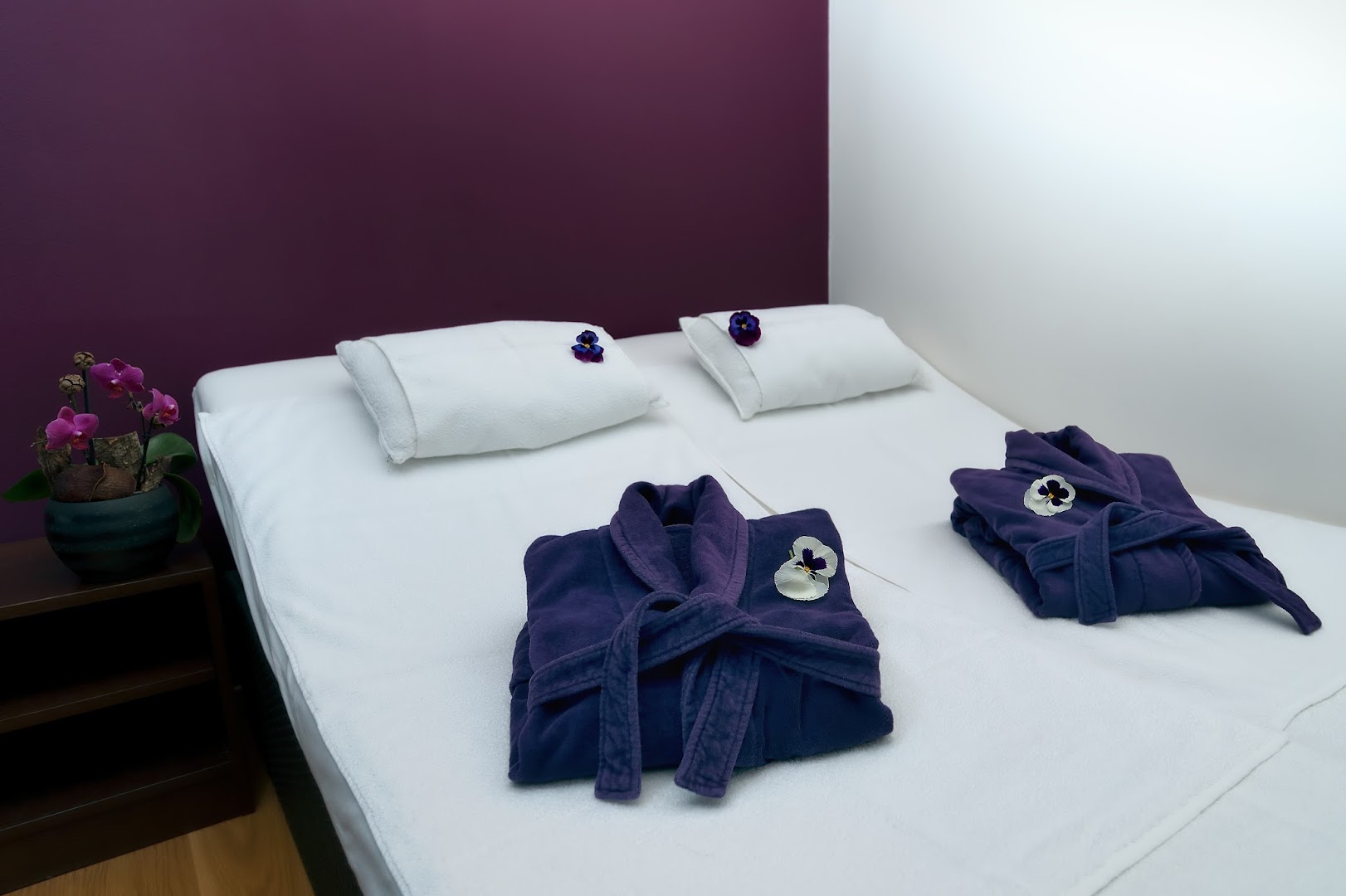 Riviere des Songes, SPA privatif