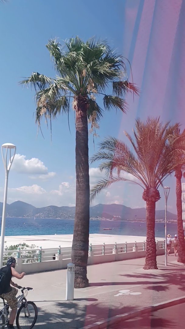 Cannes Gallia
