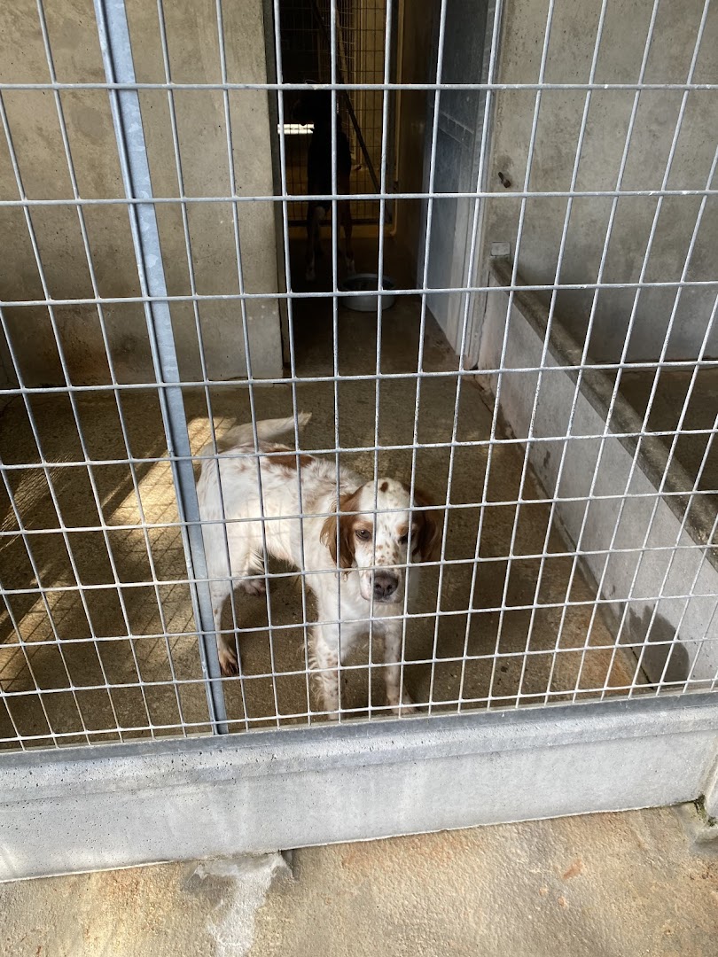 La Societe Protectrice des Animaux (SPA) - Refuge de Luynes