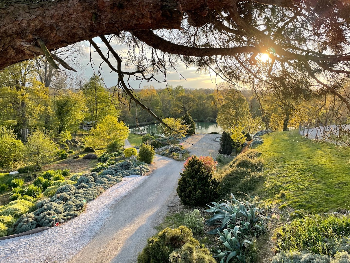 Domaine du Pigne