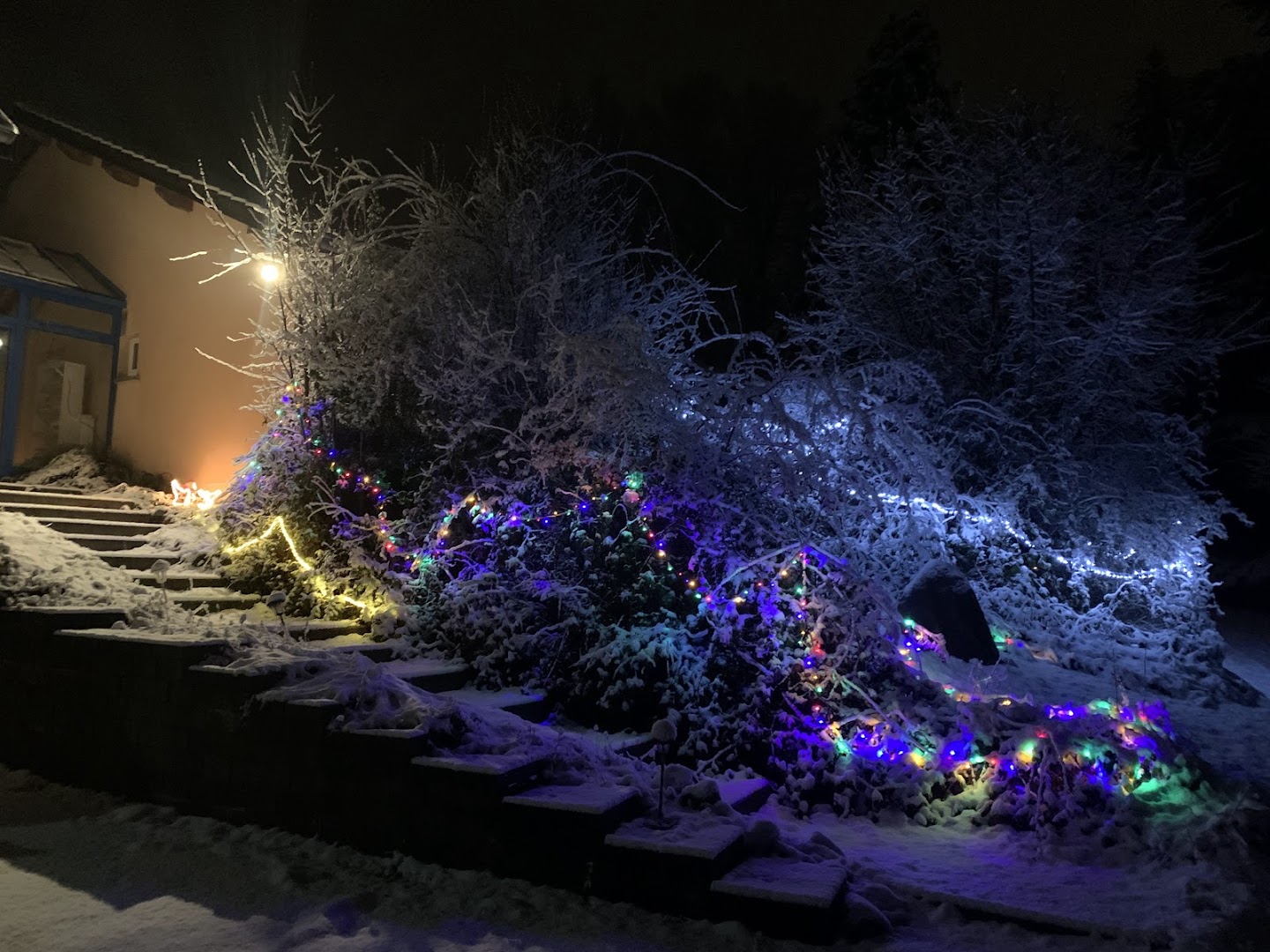 L'AMANDAURE