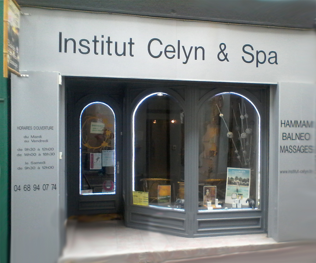 Institut Celyn