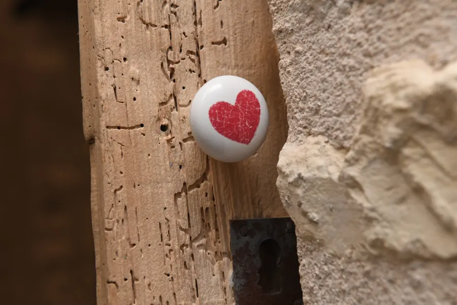 O de Rose - Gite Romantique 4* Love Room avec spa et sauna - Proche de Tours, Chenonceau et du Zoo de Beauval
