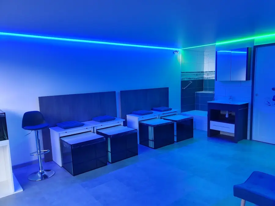 Gb Aqua Fish SPA Albertville