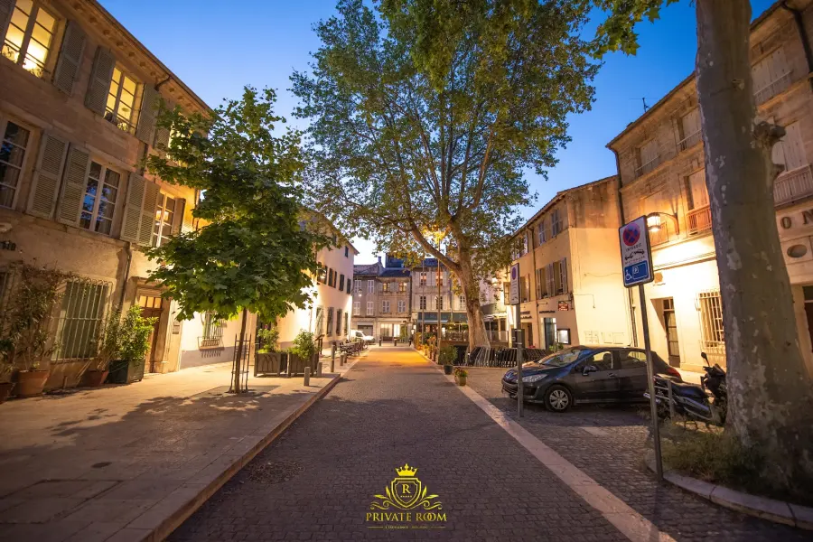 L'EXCELLENCE AVIGNON - Suite LUXE SAUNA, HAMMAM & JACUZZI
